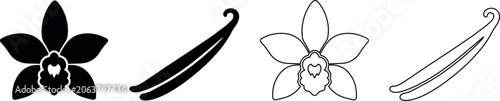 Elegant vanilla flower and pod illustrations in simple line art style