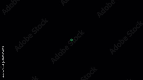 Digital Validation Green Circle Checkmark Animation Indicating Successful Transaction Completion and Task Approval 4k video