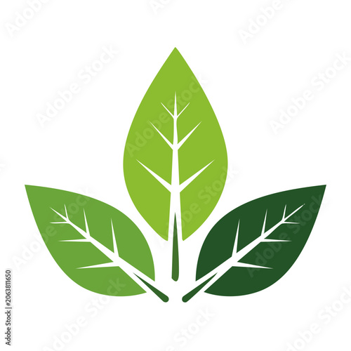 Flat design green leaf icon