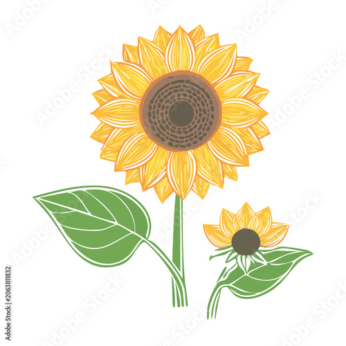 Flat design sunflower with leaf and stem
