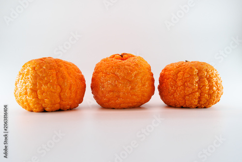 fresh  citrus fruit on a white background
