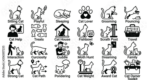 A comprehensive set of black line icons depicting various cat behaviors, care activities, and pet ownership essentials, labeled and isolated on a white background.
