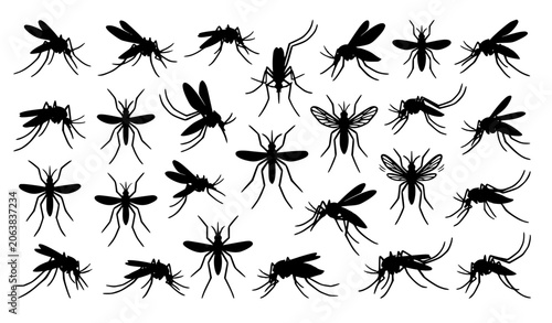 Foto Flying Mosquito Silhouette Set with Pest Control Insect Icons Vector Illustratio