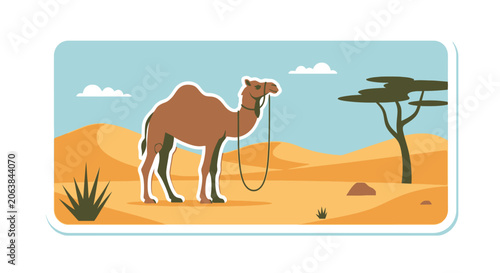 Bild auf Leinwand Domesticated camel with rope in arid desert scenery