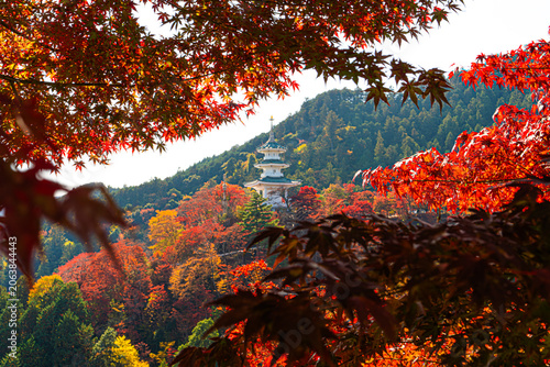 Japanese Pagoda Framed by Vibrant Autumn Maple Leaves