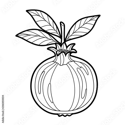 Black and white botanical illustration of a passionflower.