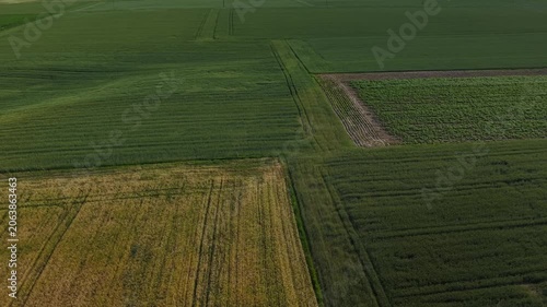 Mature Grain Field – Mid Parallax Right Wide Aerial Flight Across Field Junction