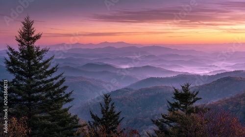 Silhouetted Pines at Sunset in Georgia's Blue Ridge Mountains