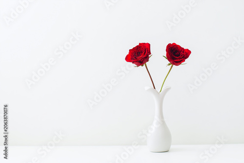 Two red roses in a vase against a minimalist white background