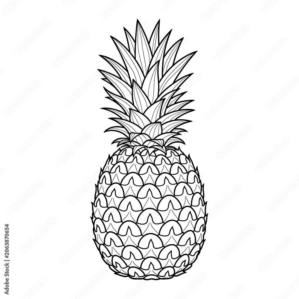 Obraz premium Intricate black and white pineapple botanical illustration.