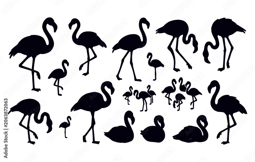 Obraz premium Flamingo Bird Silhouette Animal Set