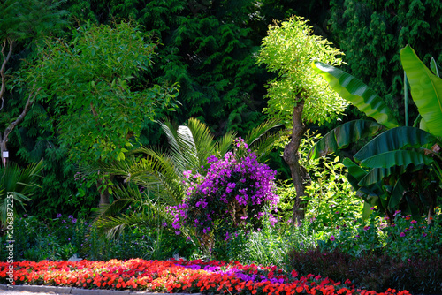 Sommerstimmung mit Licht und Schatten im Park