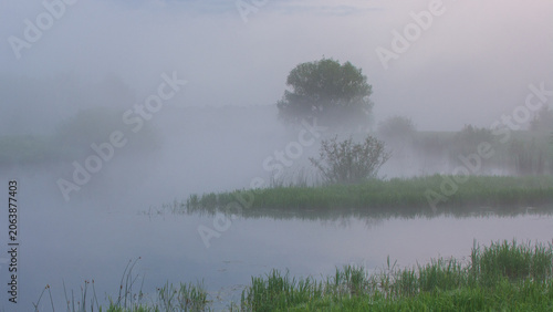Photos a serene, misty morning over a calm river