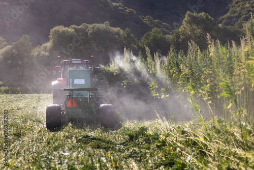 Tractor harvesting hemp crop in misty mountain field at sunrise