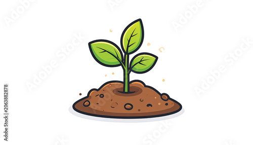 Small green plant in brown soil.
