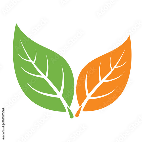Autumn leaf flat design isolated