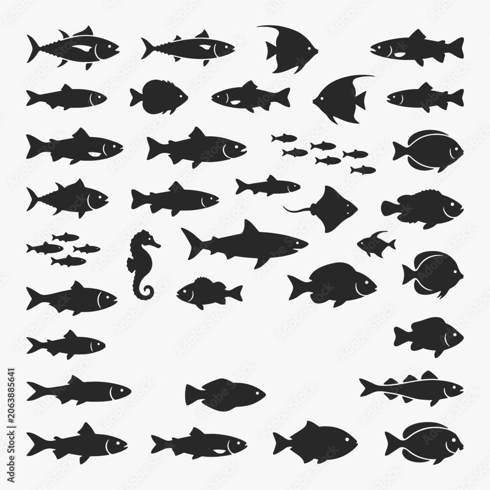 Fototapeta premium Set of Fish on white background. Vector Sign for Logos, Labels, and Icons.