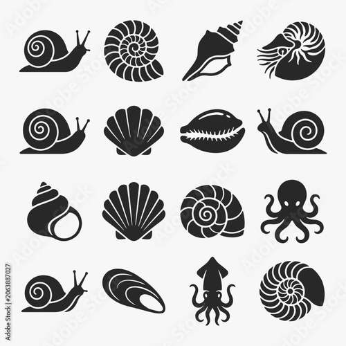 Set of Mollusca on white background. Vector Sign for Logos, Labels, and Icons.