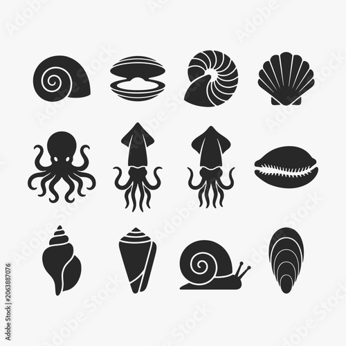 Obraz na plátne Set of Mollusca on white background