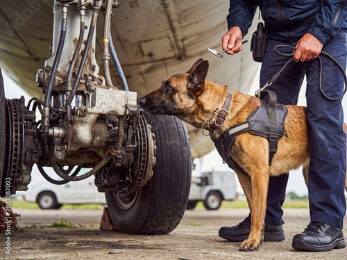 Schilderij op canvas K9 security detection dog with handler inspecting aircraft landing gear for illicit materials at a busy airport