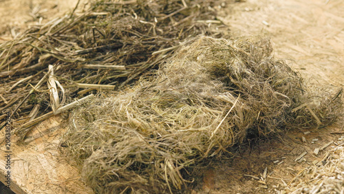 Processed hemp fiber and dried plant stalks on rustic wood