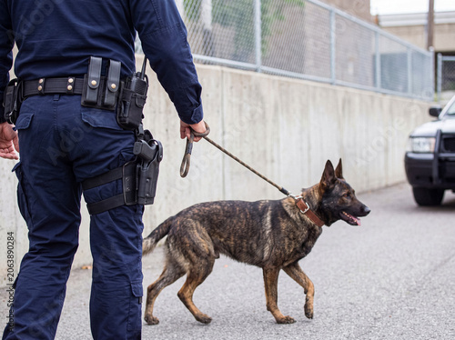 Konstfotografi Rear view of a police officer walking a K9 unit Belgian Malinois on a leash during a patrol
