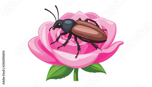 Brown Beetle on Pink Flower.