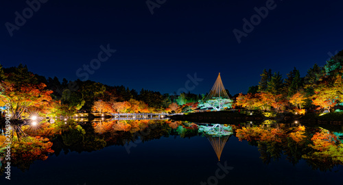 Autumn Night Illumination Reflected in Pond at Showa Kinen Park Japan