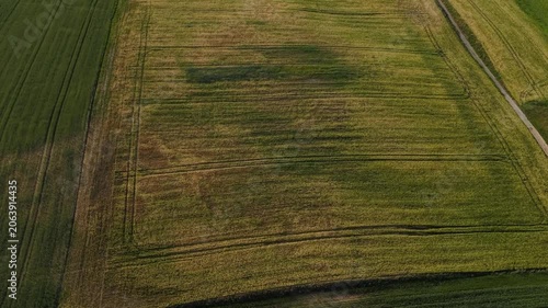 Mature Grain Field – High Parallax Right Wide Aerial Establishing Flight