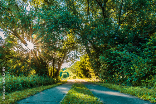 Canvastavla Sonnenstern über dem Wuhle Wanderweg.