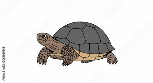 A cartoon turtle with a dark grey shell and brown legs