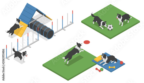 Isometric vector illustration set of border collie dogs on green grass doing agility course training, playing with ball and flying disc, and resting on mat with bone and toys.