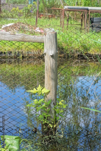 part of an old fence made of gray wooden posts and metal mesh in the water of a river among green vegetation