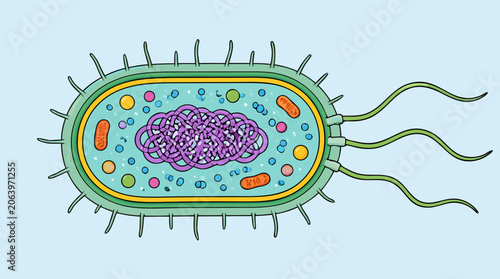 Microscopic View of Virus or Bacteria Cell Structure in Flat Vector Illustration Style with detailed Nucleus and Protein Spikes on Light Background for Medical Science and Healthcare Research