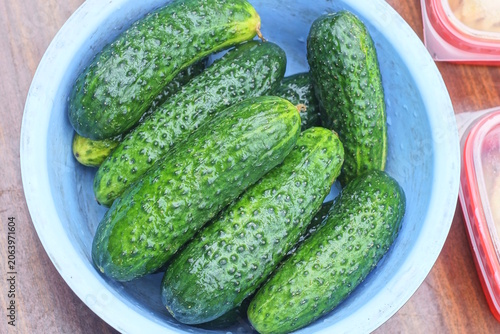 green fresh cucumbers lie in a blue bowl on a brown table