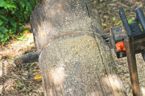 A single black chainsaw cuts through a large thick gray tree log on a summer street