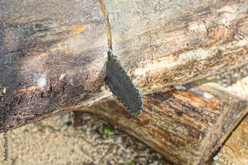 A single black chainsaw cuts through a large thick gray tree log on a summer street