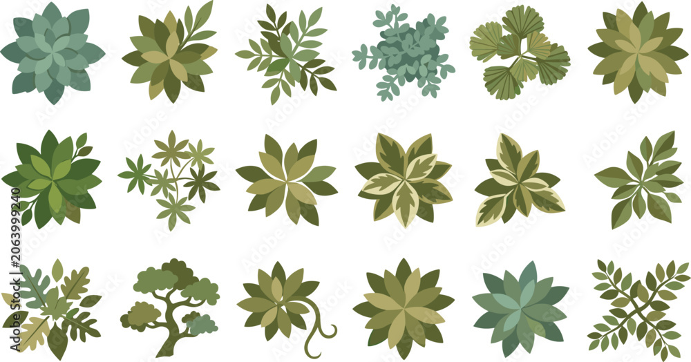 Fototapeta premium Botanical Leaf Collection Set with Succulent Rosettes and Decorative Green Foliage Vector Illustrations for Nature Design Projects