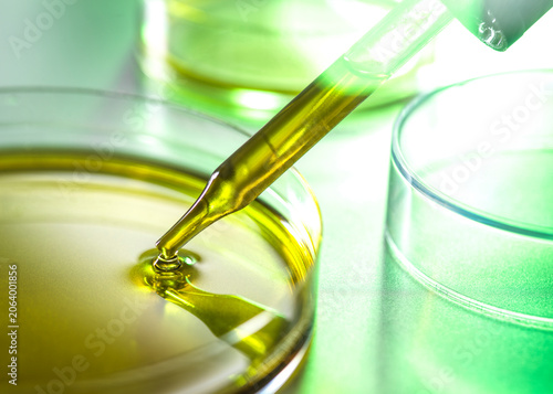 Pipette adding liquid to petri dish, close-up in laboratory setting with green tones.  