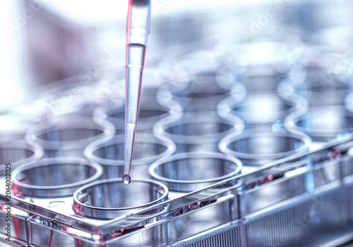 A close-up of a pipette dropping liquid into a transparent lab test tube tray.