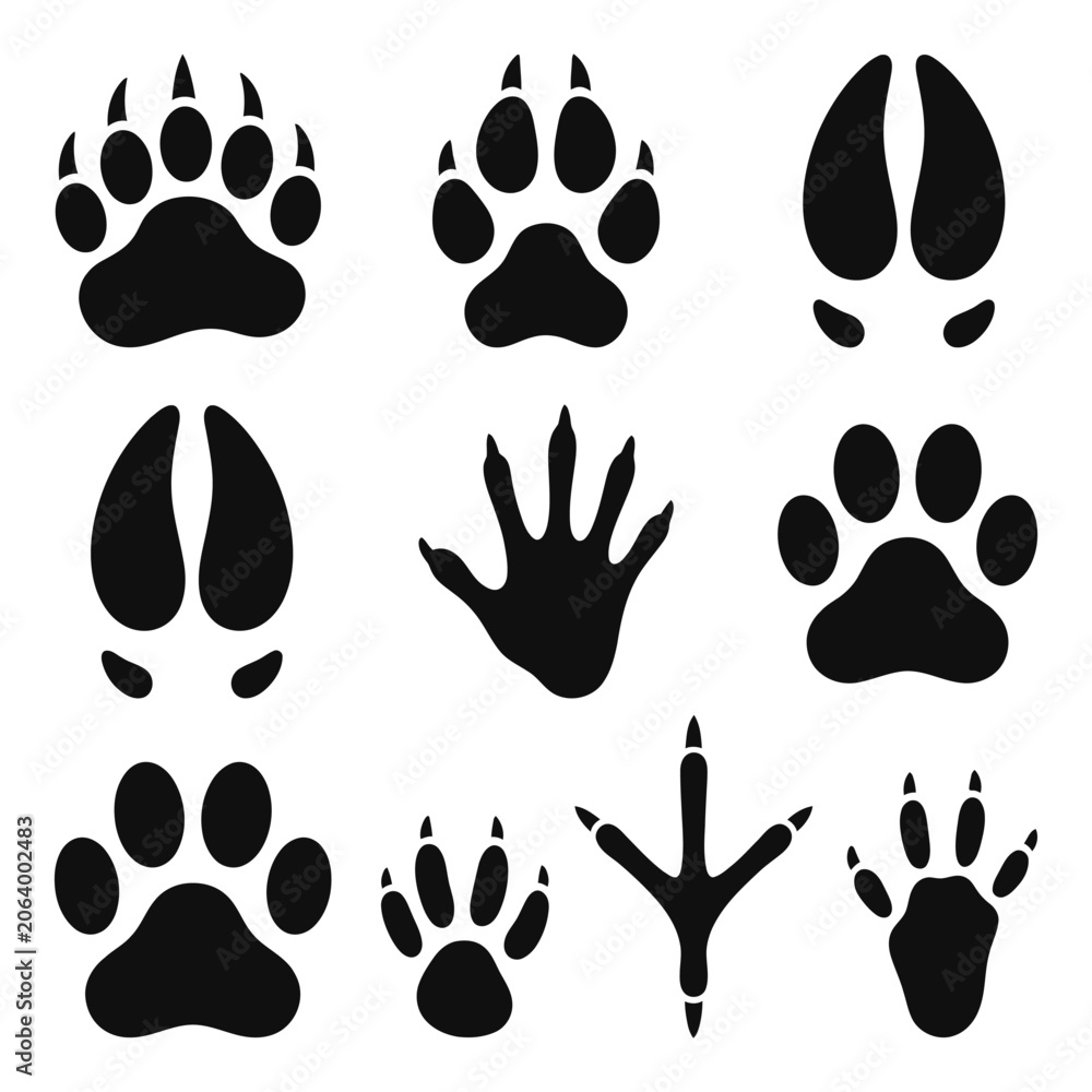 Fototapeta premium A collection of black animal paw prints on a white background