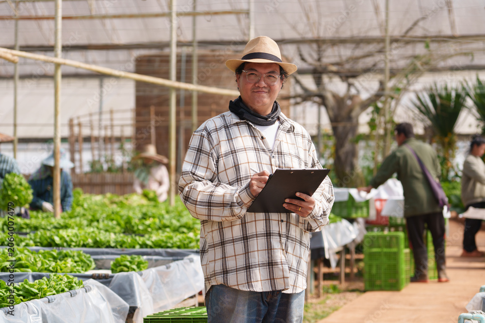 Obraz premium An organic vegetable farm owner checks his vegetables for sale to a global business.