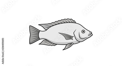 Simple illustration of a gray tilapia fish swimming, isolated on white background