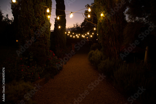 Outdoor garden path lit by string lights at dusk surrounded by trees and bushes Waiheke Island, New Zealand