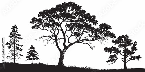Foto Silhouette illustration of pine and broadleaf trees on a meadow with silhouette