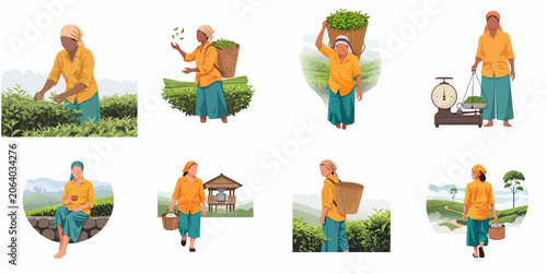Fotografía Set of tea picker woman illustrations working in green plantation field, female