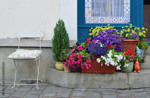 Obraz na plátně Colorful flower pots and charming house facade with cobblestone street in the old town of Szentendre, Hungary