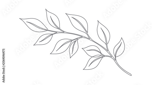 Cuadro en lienzo Minimalist line art of a branch with leaves