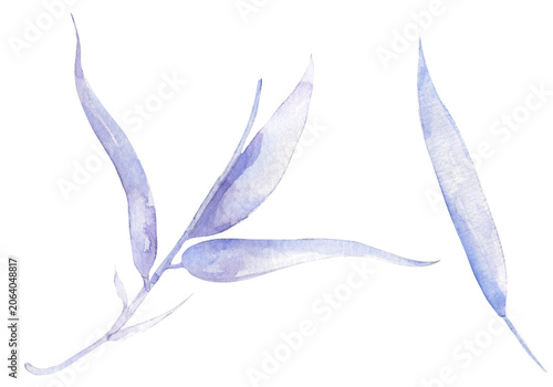 Watercolor bamboo leaves branch llustration set, hand drawn delicate bamboo leaf clip art, nature clipart