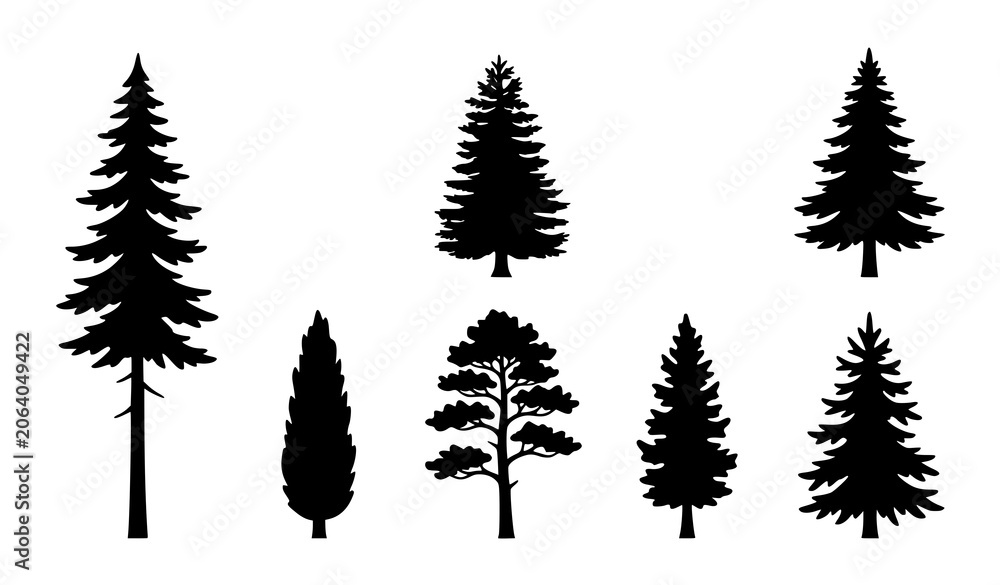 Obraz premium Evergreen Pine and Fir Tree Silhouette Collection for Forest Landscape Nature Design Projects